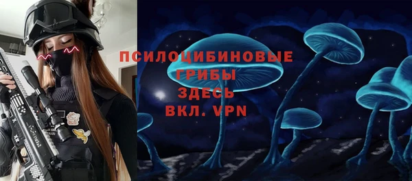гидропоника Кулебаки