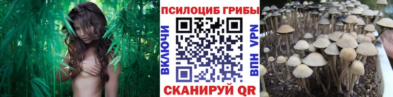 Галлюциногенные грибы Magic Shrooms Лахденпохья