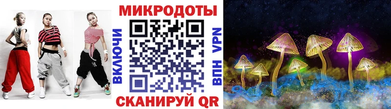 где найти наркотики  Лахденпохья  Галлюциногенные грибы Psilocybine cubensis 